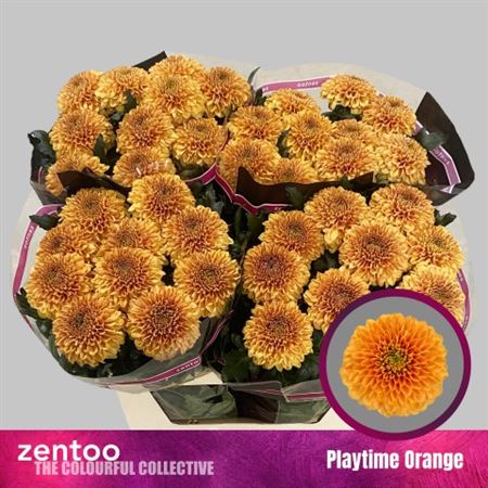 Chr G Playtime Orange