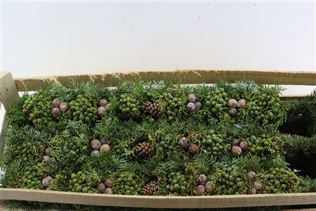 Wr Advent Guirlande 40 Cm