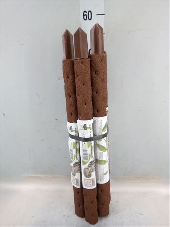 Decoratie ..klimstok Composteer H% 50cm Ø 4 cm bun