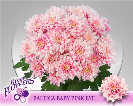 Baltica Baby Pink Eye 90 Gram
