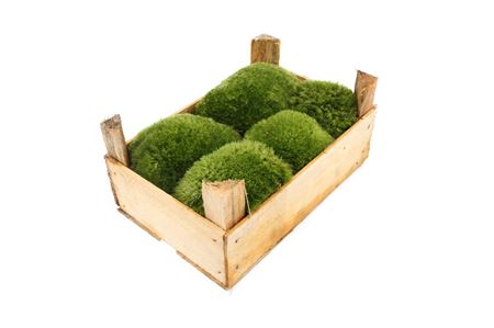 Mos Bolmos Consument ( Houten Kist )