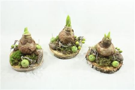 Am84 1 Amar Op Schijf