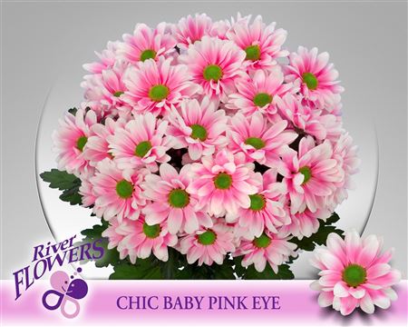 Chic Baby Pink Eye 90 Gram