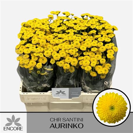 Chr S Aaa Aurinko