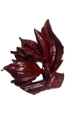 Waxed Seafruit Bordeaux