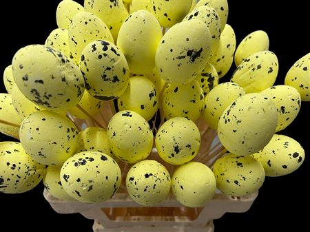 Kievitsei Op Stok H%