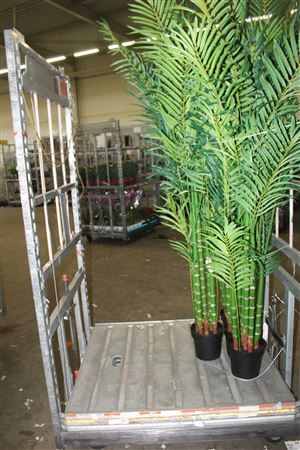 Kunstplant H%howea Forsteriana