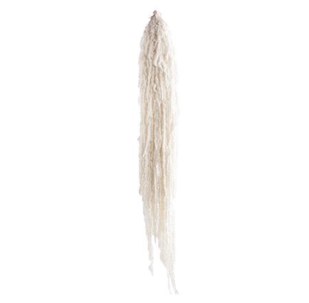 Amaranthus White