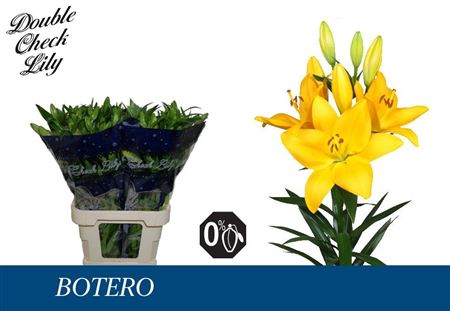 Li La Botero