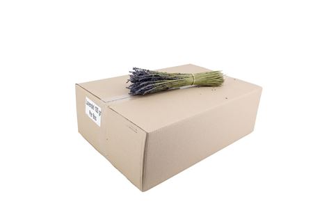 Lavendel Droog