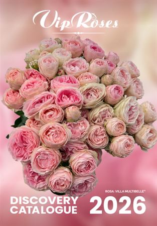 Brochure (roses) Vip Assortment 2026