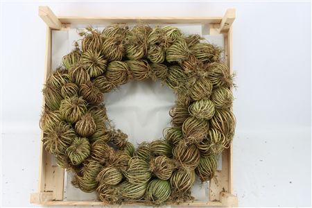 Wr Dille Zaaddoos Naturel 55cm