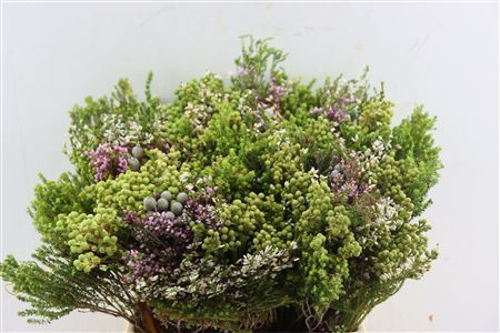 Cape Mix Bouquet