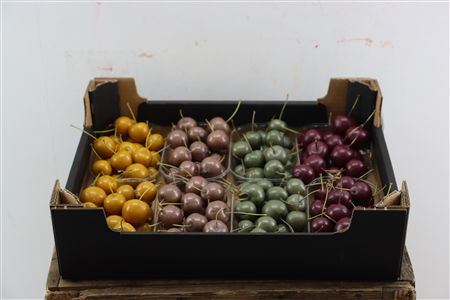 Waxmalus Autumn Mix