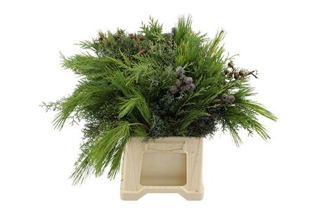Boeket Xmas (coniferen Mix) 7 Stems