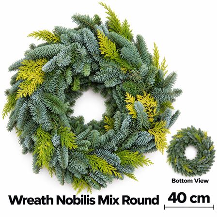 Abies Nobilis Blauw