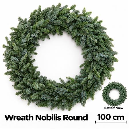 Abies Nobilis Blauw