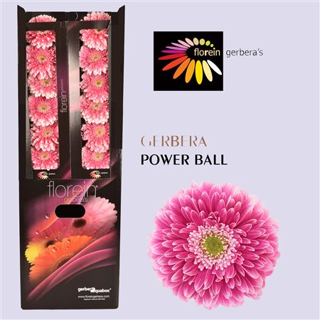 Ge Gb Pom Power Ball