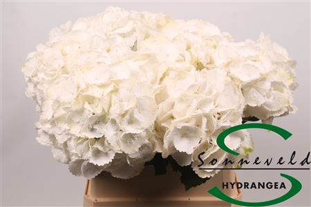 Hydr Exclusief Creme