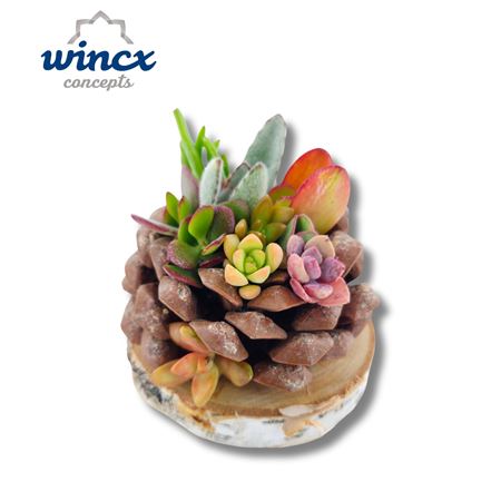 Wincx Concepts® - Pinecone Arrangement (l) Wincx C