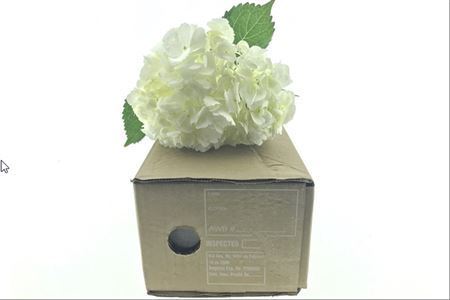 Hydr ( Box ) White