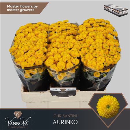 Chr S Aaa Aurinko