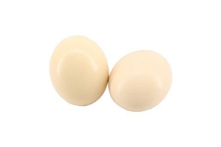 Ei Struisvogel (24pcs)
