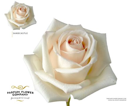 Rosa Garden Sandcastle