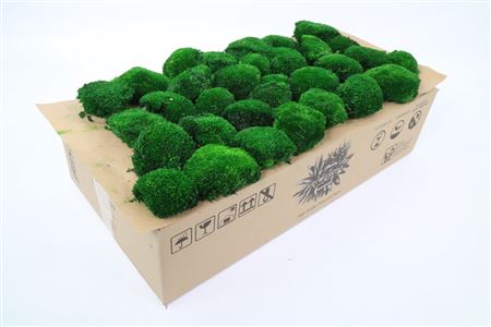 Bolmos Donkergroen Gepreserveerd 2,5 Kg