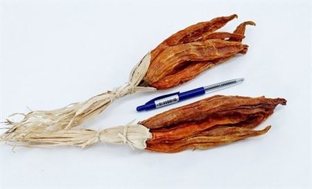 Chilipeper Fuego