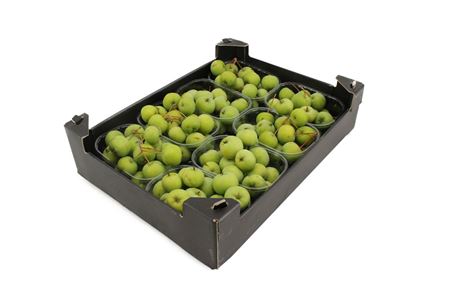Appels Malus Groen 8x