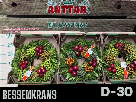 Krans Sierfruit H%