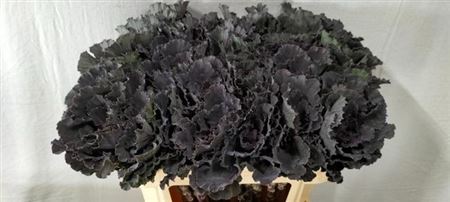 Brass Black Leaf