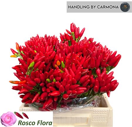 Cap Red Fire