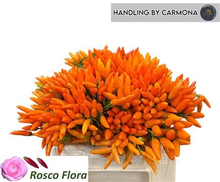 Cap Orange Fire
